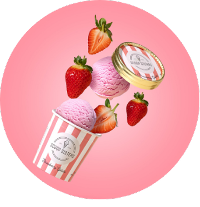 Scoop Sisters | 24 x 125ml in a Single Flavour Box